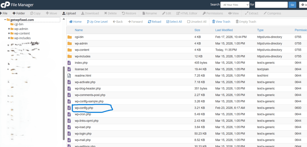 wp-config.php file demo