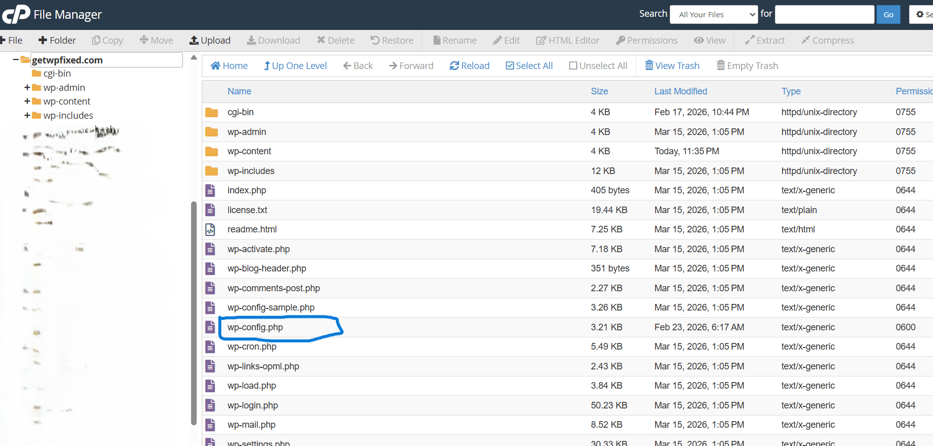 Using Debug Mode to Fix WordPress Critical Error